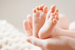 Programme prénatal en ligne