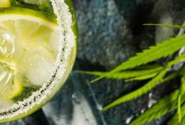 Santé liée à l'usage de substances